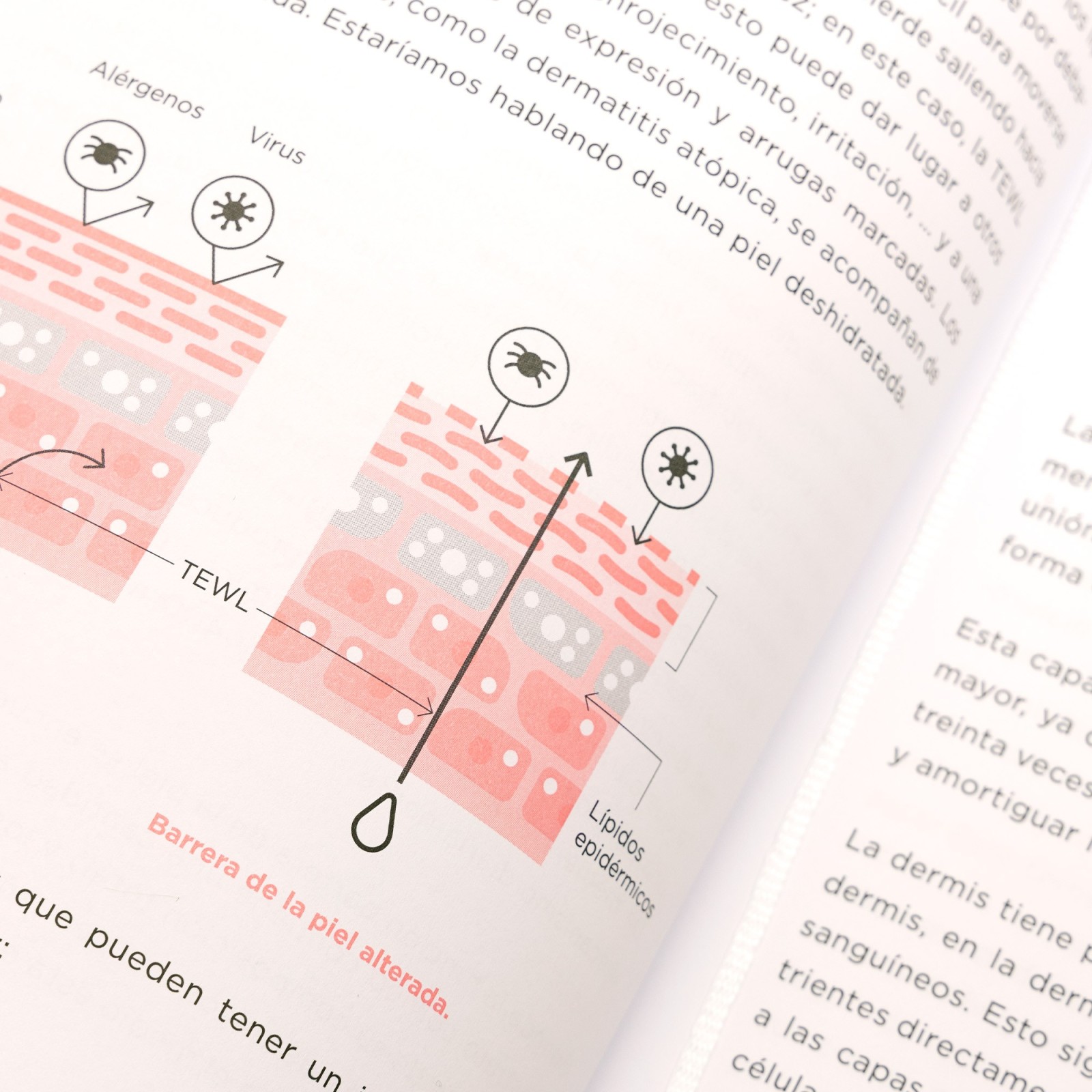 Libro MiiN: Aprende a cuidar tu piel - MiiN Cosmetics